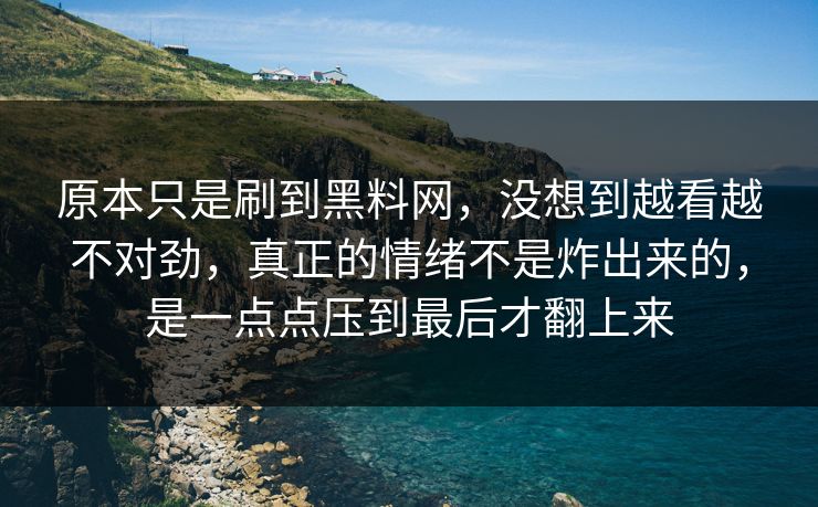 原本只是刷到黑料网，没想到越看越不对劲，真正的情绪不是炸出来的，是一点点压到最后才翻上来