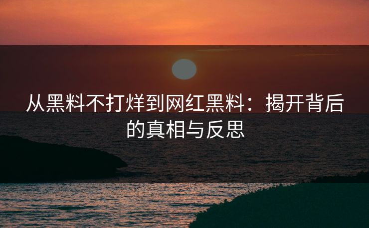 从黑料不打烊到网红黑料：揭开背后的真相与反思