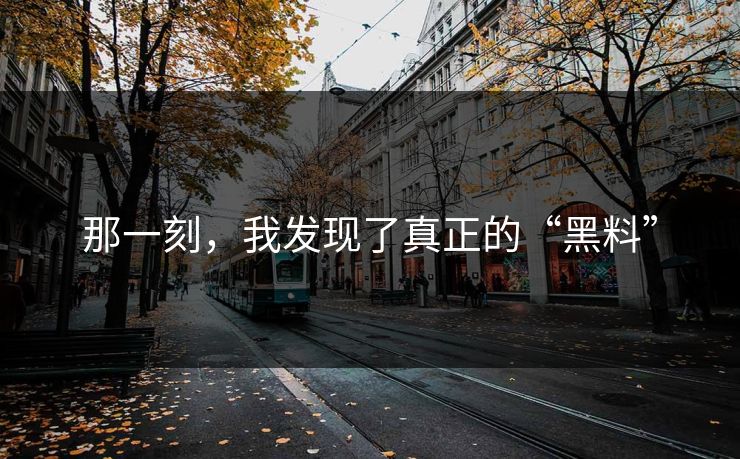 那一刻，我发现了真正的“黑料”  第1张