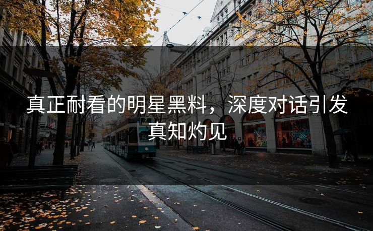 真正耐看的明星黑料，深度对话引发真知灼见