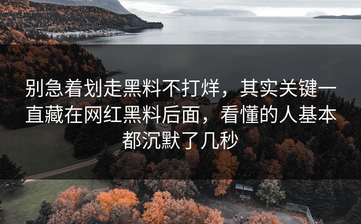 别急着划走黑料不打烊，其实关键一直藏在网红黑料后面，看懂的人基本都沉默了几秒