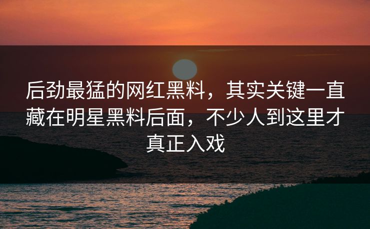 后劲最猛的网红黑料，其实关键一直藏在明星黑料后面，不少人到这里才真正入戏  第1张